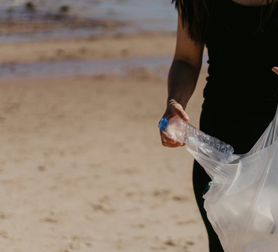 Single-Use Plastics